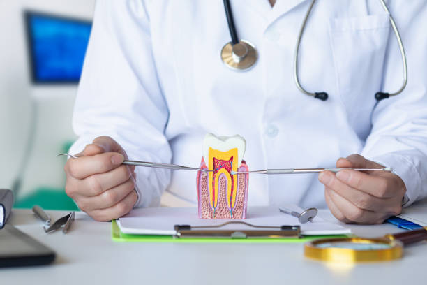 Best Pediatric Emergency Dentist in St James, NY